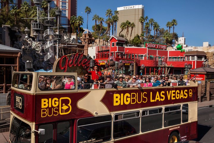 Big Bus Las Vegas 拉斯维加斯随上随下观光巴士